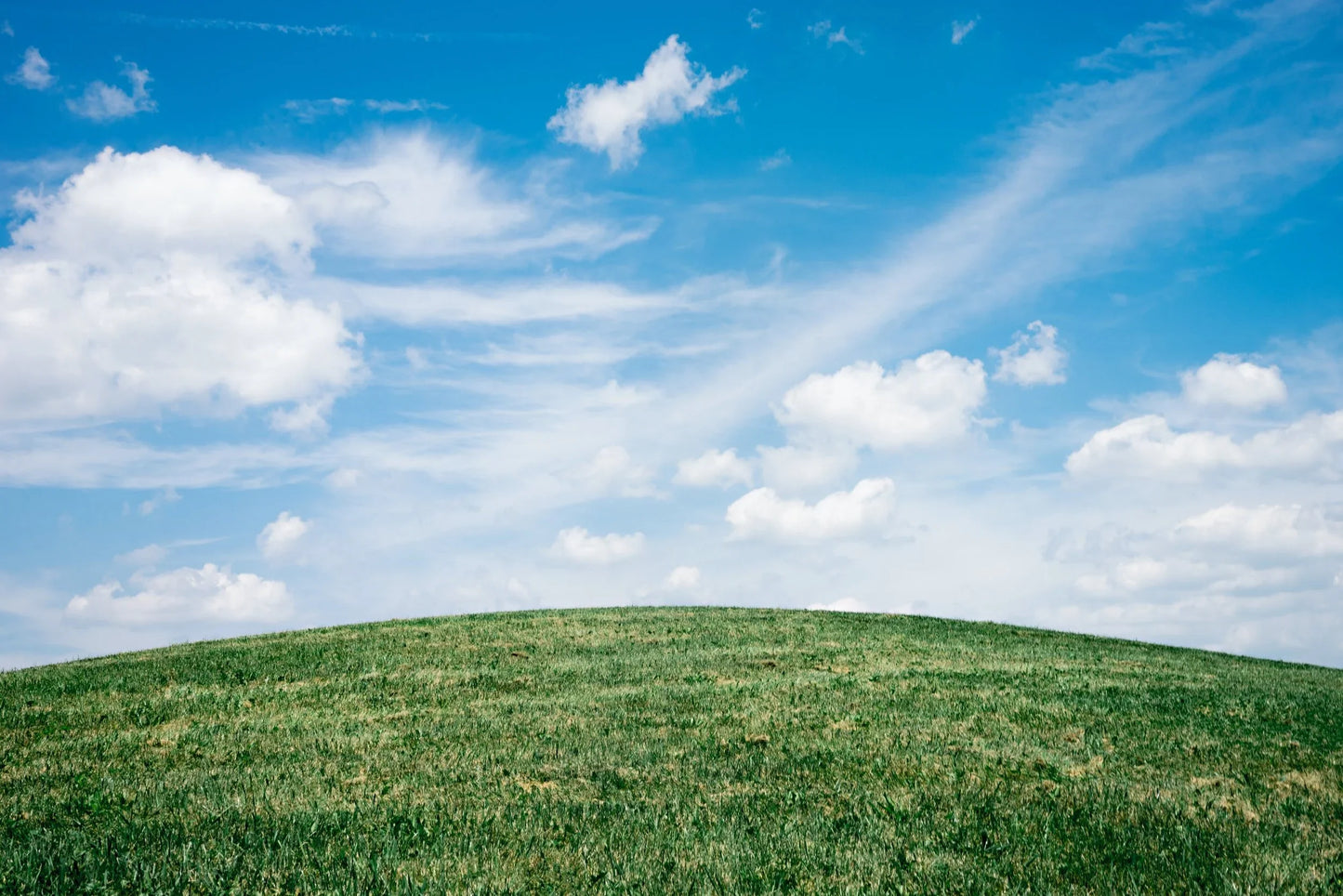 Seven reasons why Business Central is the best cloud ERP solution for your business