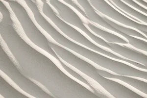 Customize digital marketing content with Dynamics 365 Marketing