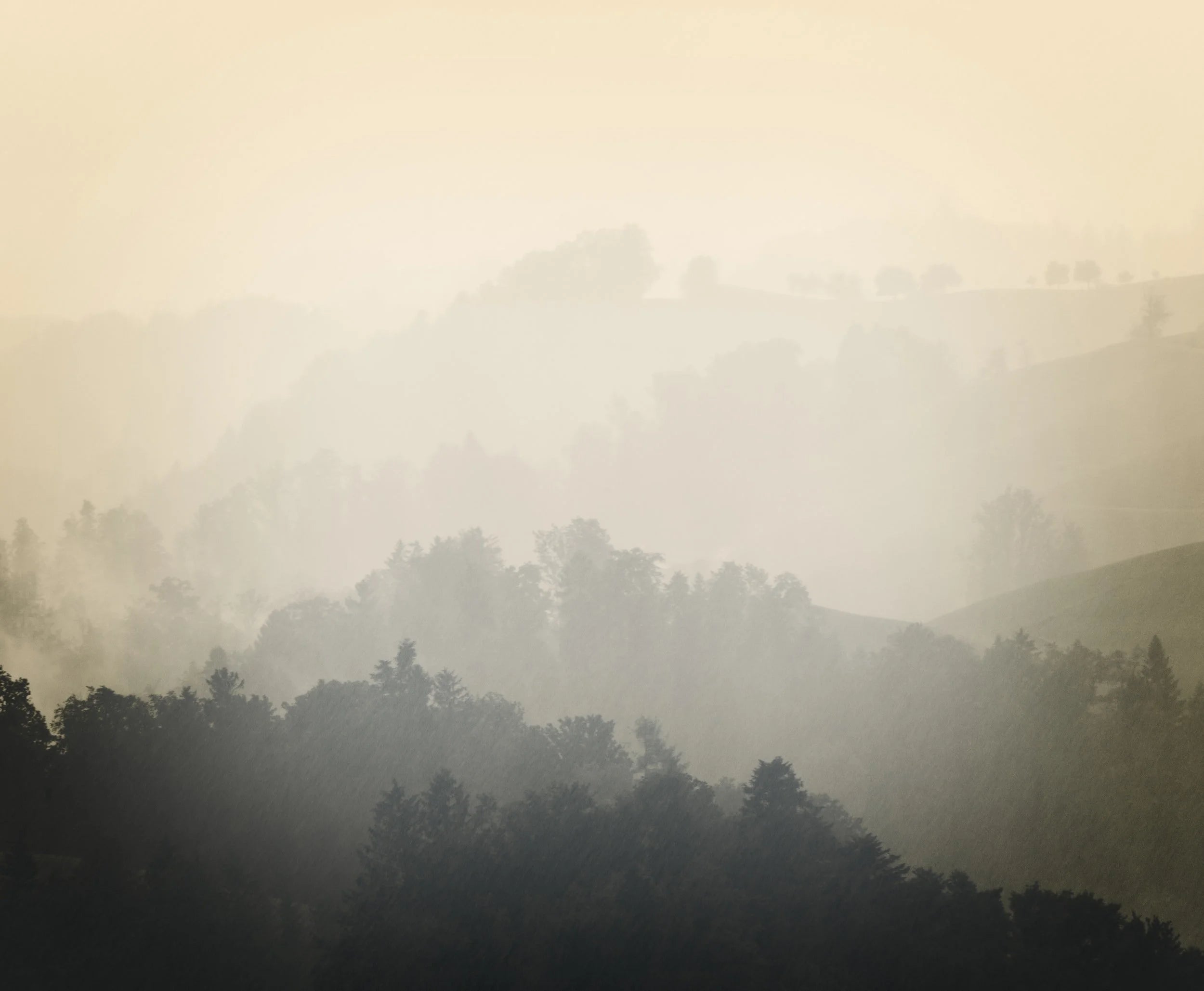 Everything included in the Dynamics GP 2021 update (GP 18.4)