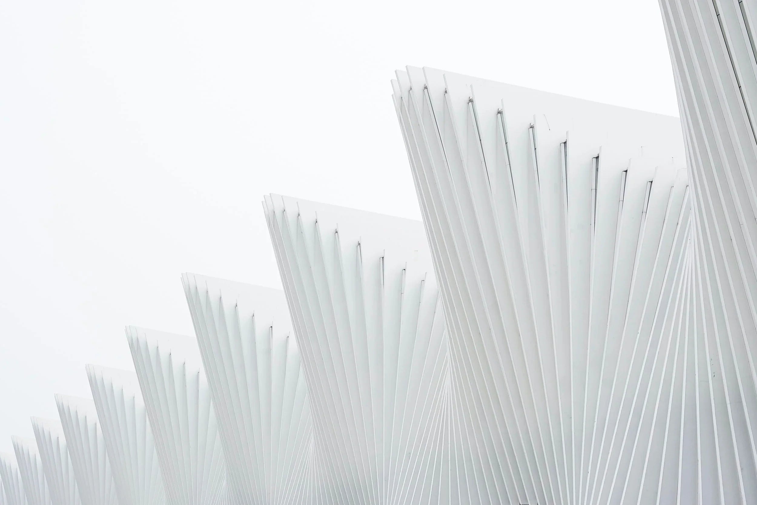 An Active Partner Relationship: Increase ROI and Long-Term ERP Success - free eBook